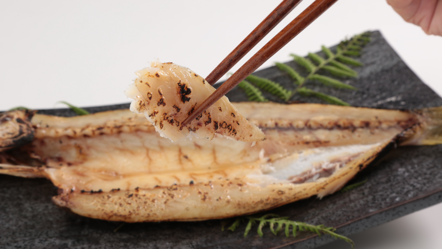 Web限定！【松下奈緒の推しのイッピン】静岡・沼津『長庄水産』の極上