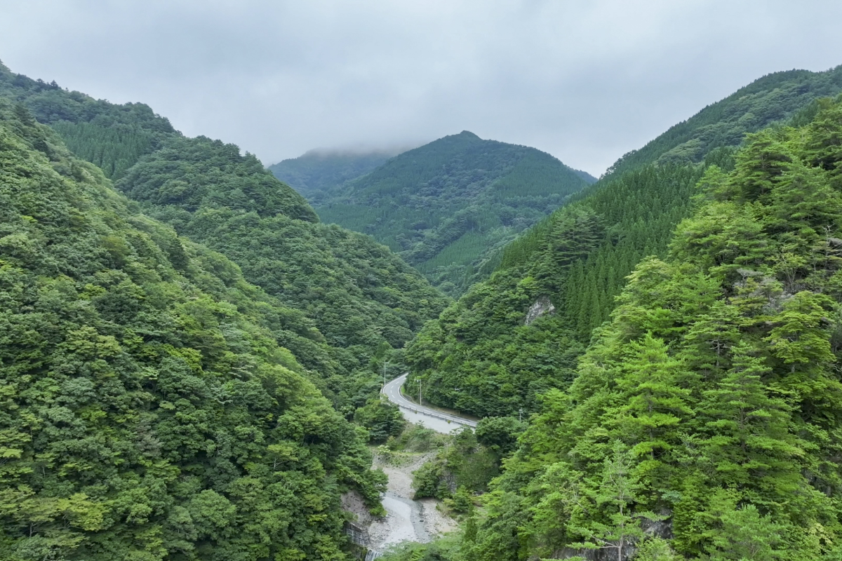 fuji