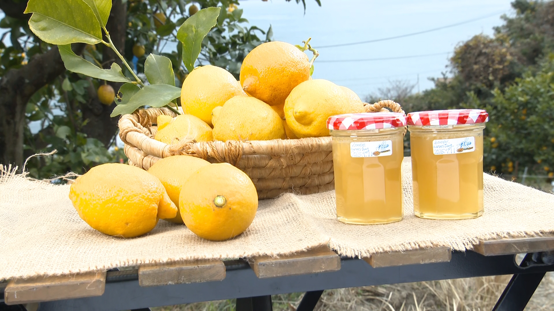 『瀬戸田レモン2キロ＆はちみつセット』