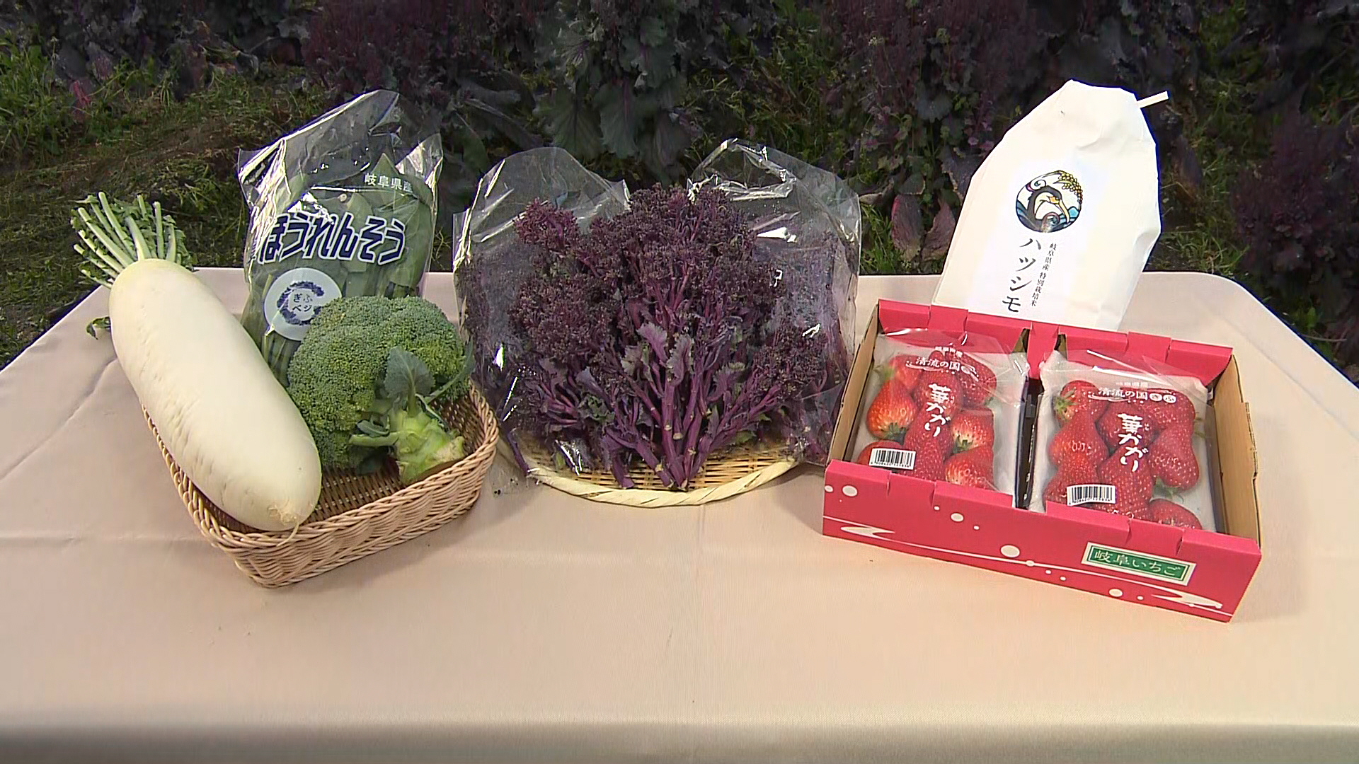 岐阜つめ合わせセット①