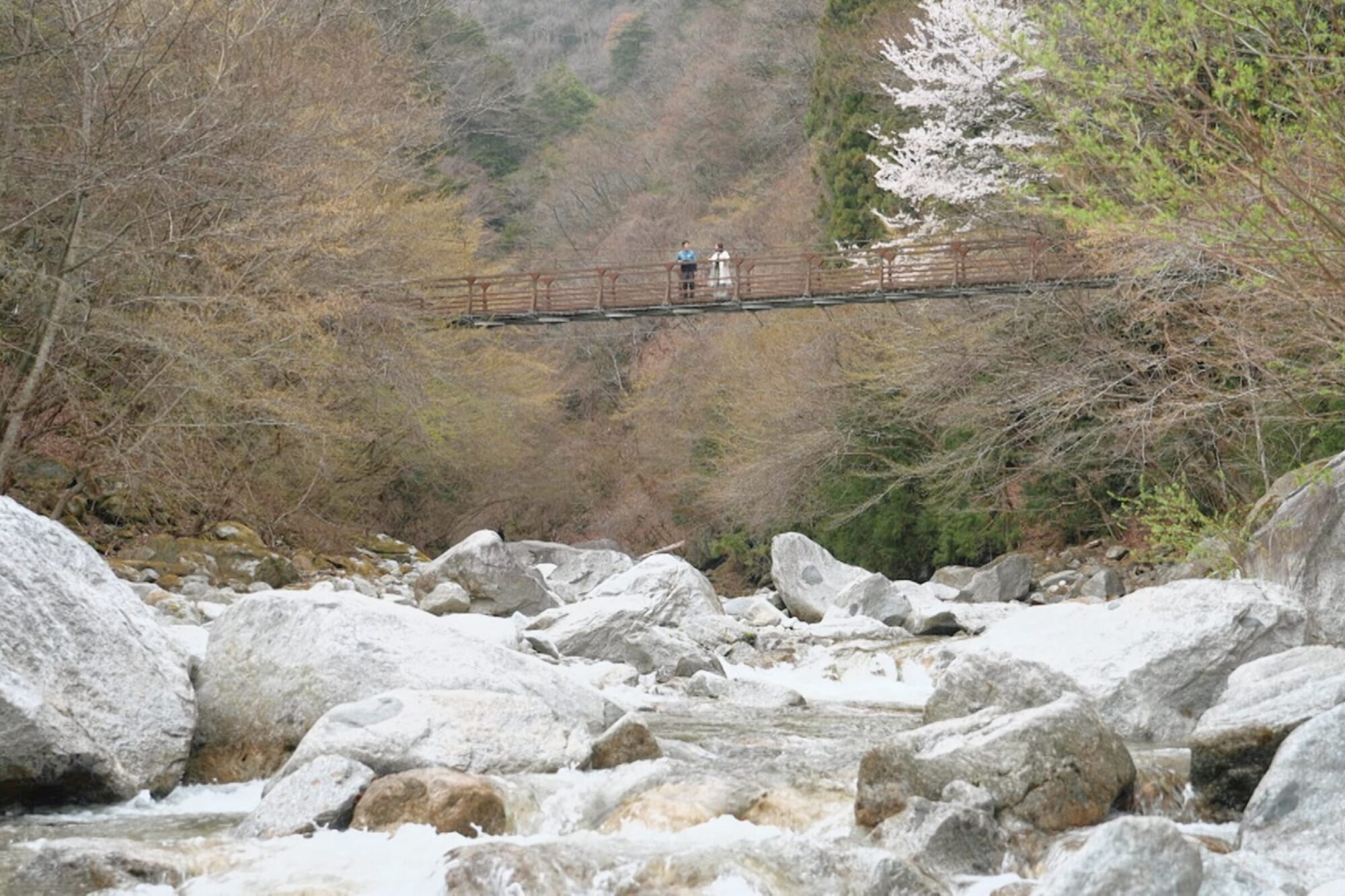 fuji