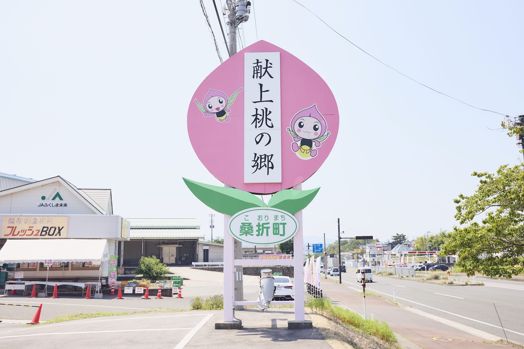 fuji