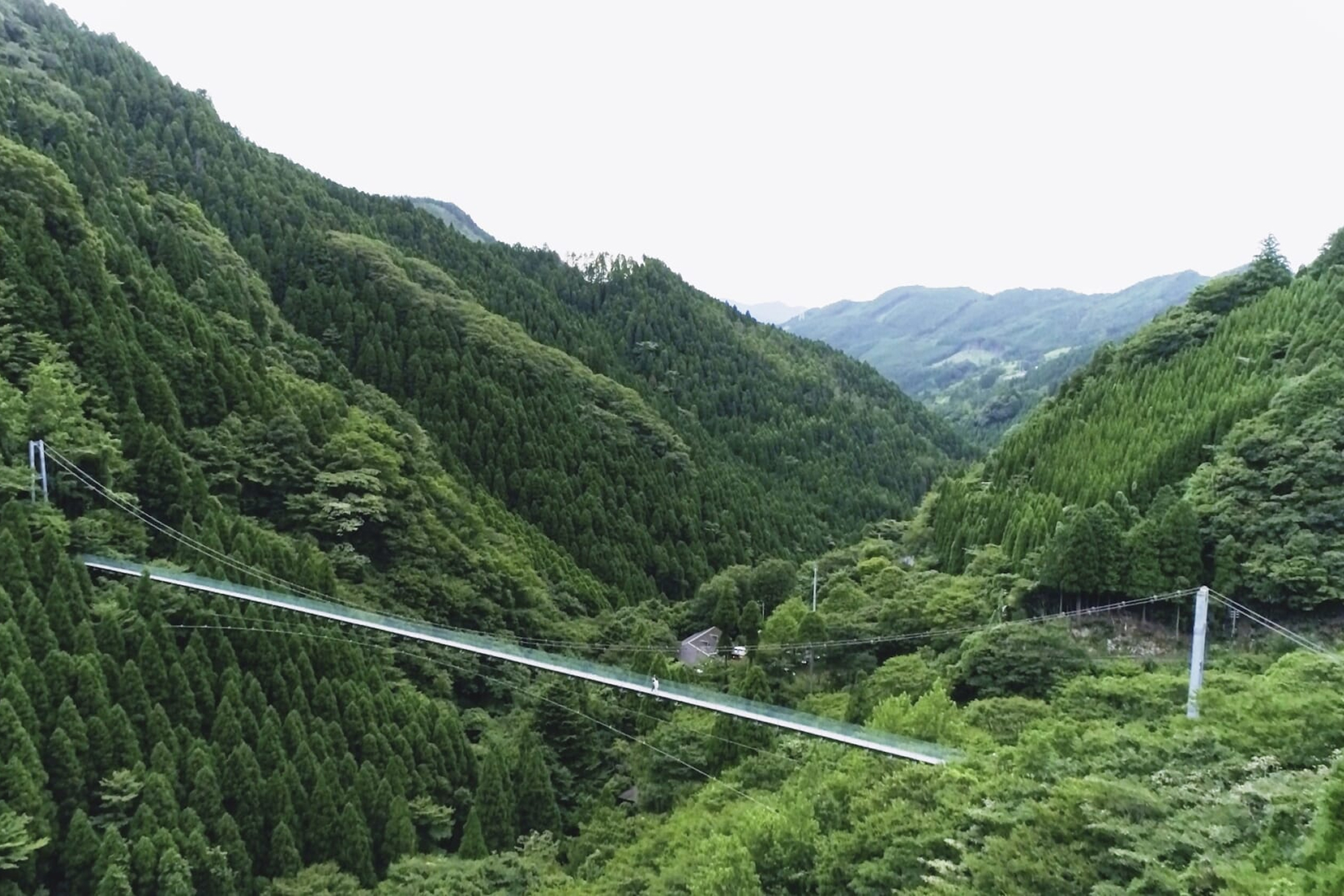 fuji