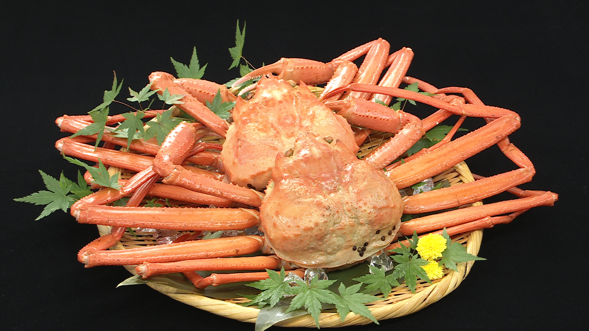 プレゼント　カニ